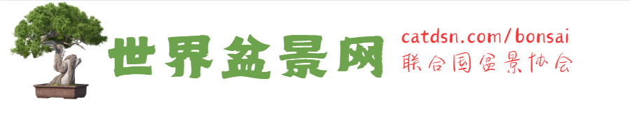 盆景