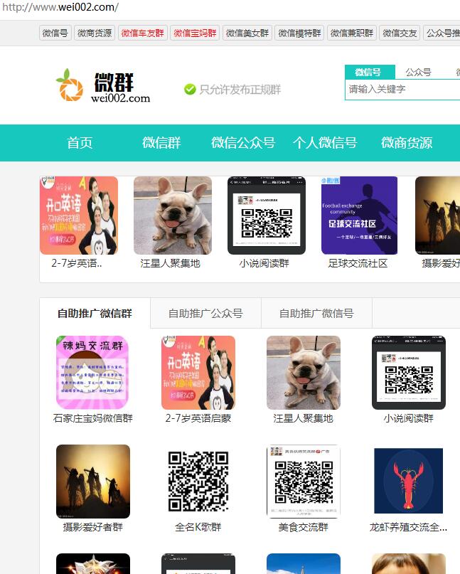 内容图片