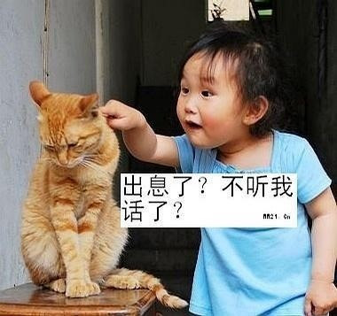 内容图片