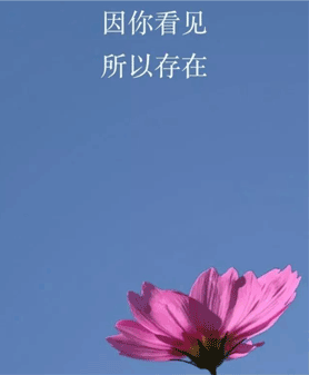 内容图片