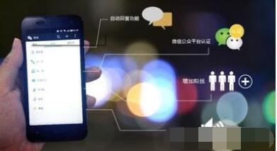 内容图片
