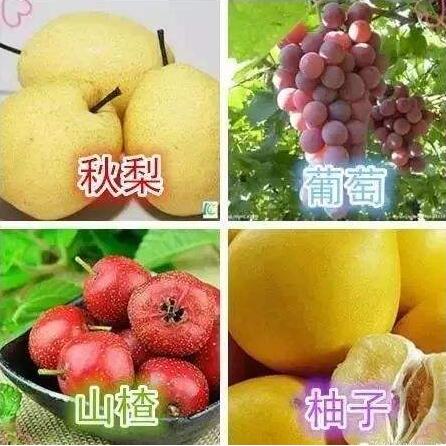 内容图片