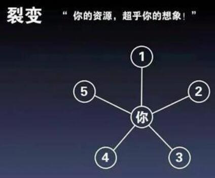 内容图片