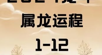龙年运势及运程详解