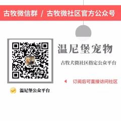 内容图片