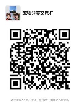 内容图片
