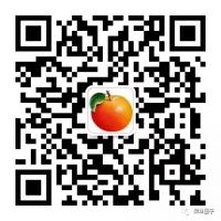 内容图片