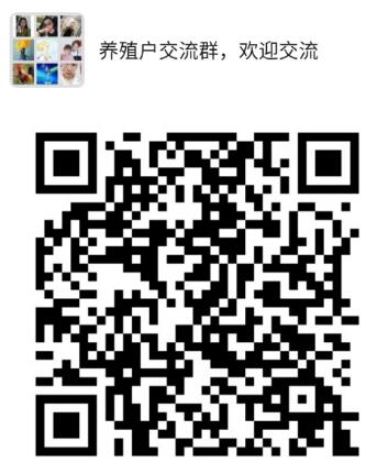 内容图片