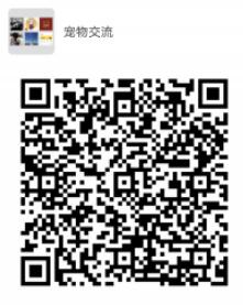 内容图片
