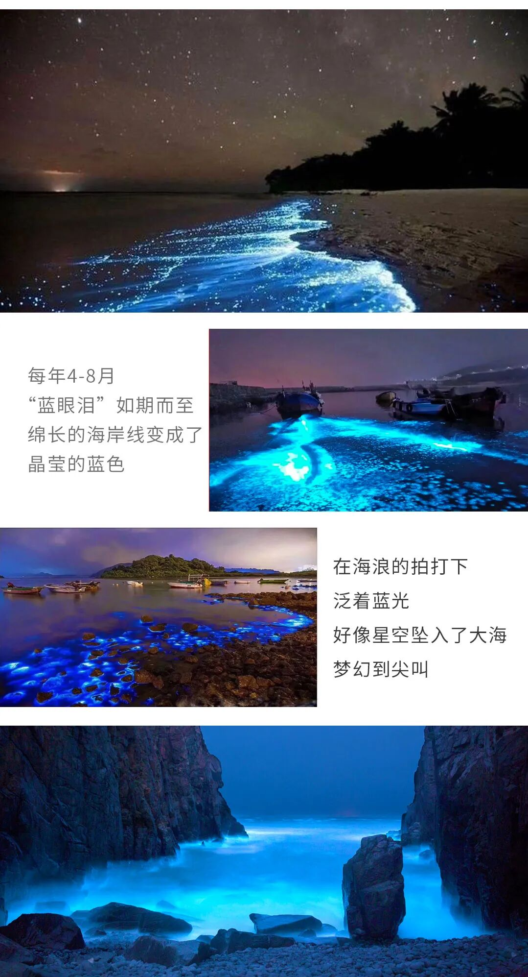 http://qnimg.zowoyoo.com/img/6247575/1773133289997.png 图片