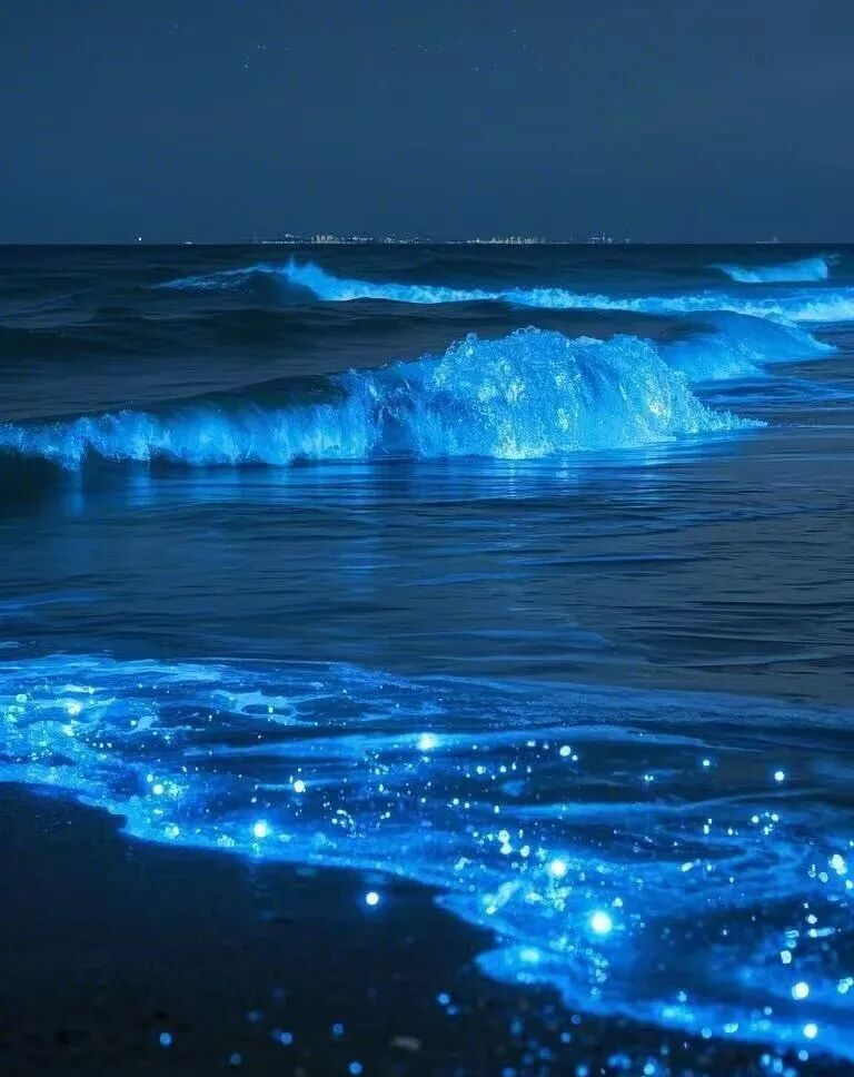 http://qnimg.zowoyoo.com/img/6247575/1773133272547.png 图片
