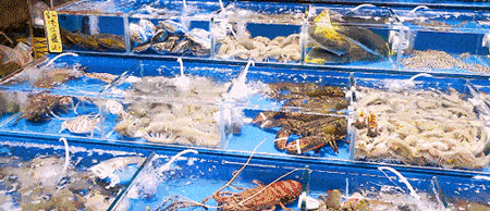 http://qnimg.zowoyoo.com/img/6247575/1741927553970.gif 图片