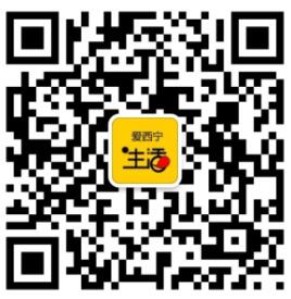 内容图片