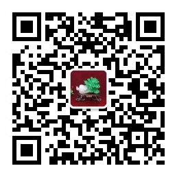 内容图片